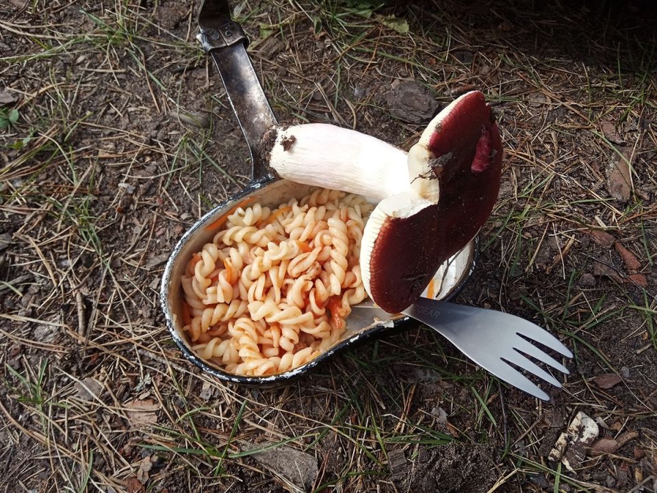   :       