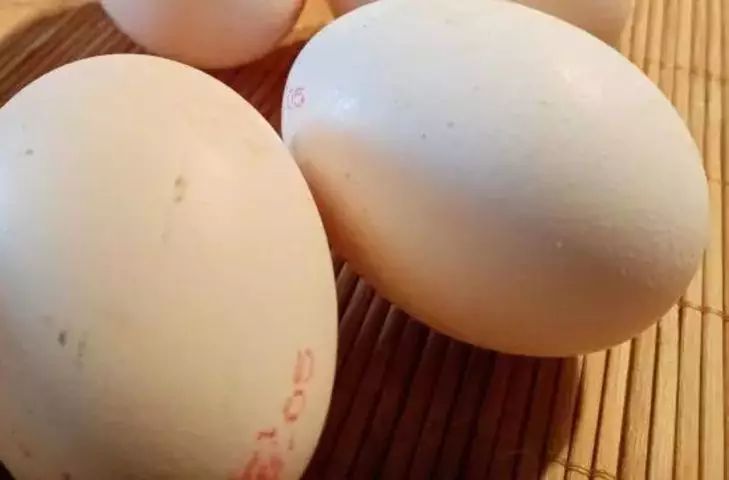 -4     :  ,   