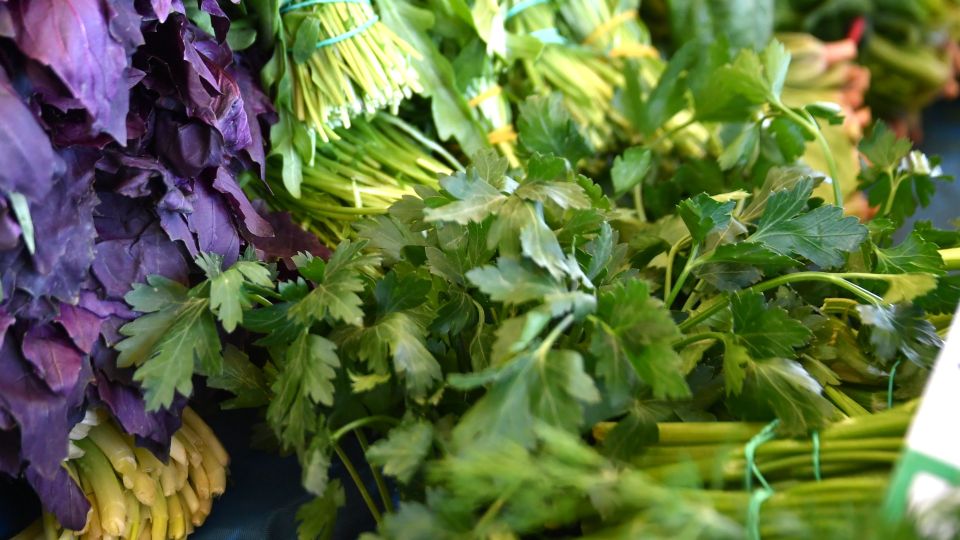 Заготавливаем зелень: шеф-повар объясняет нюансы