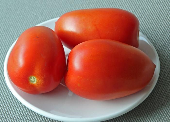 Секреты сбора семян томатов: шаг за шагом к успешному урожаю