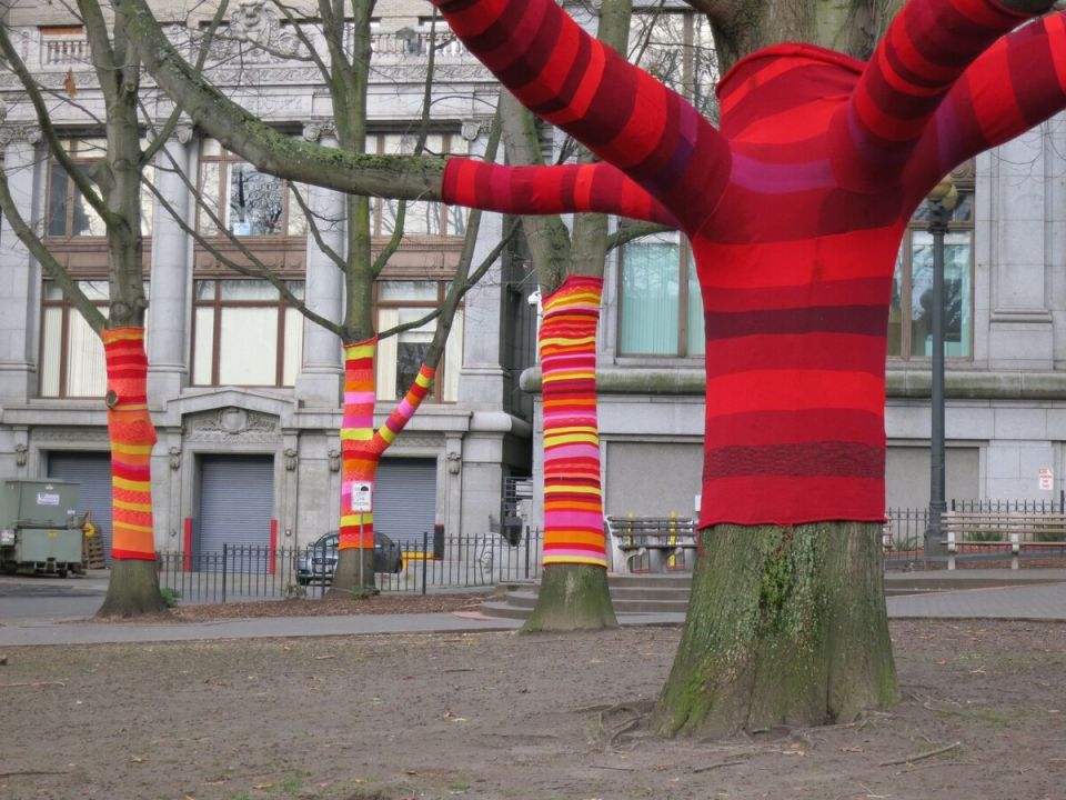 Как защитить деревья в зимний период: самые эффективные способы