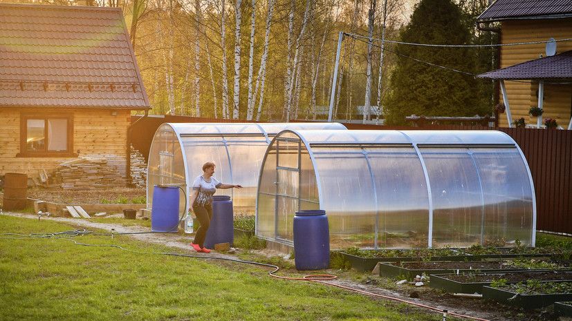 Налог на бани и сараи в 2025 году: как избежать лишних потерь и воспользоваться льготами