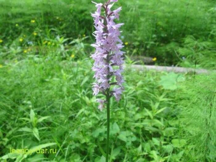 ����� �����������������: ��� "��������� �����" ���������� ���� ������