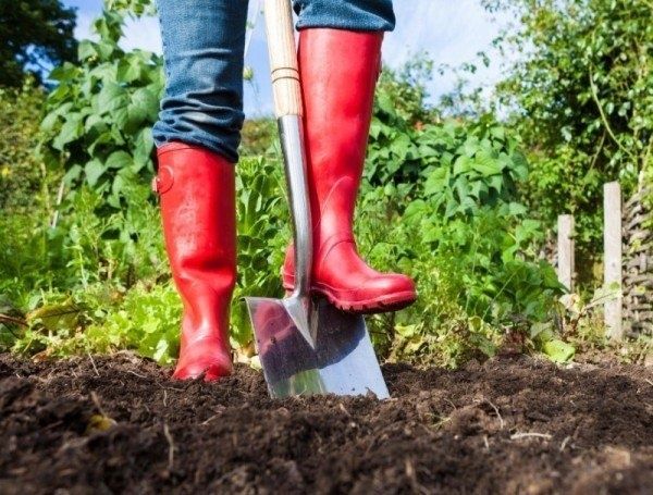 ��� ���������� �� ����: 5 ������� ������� ��� �������� ��������