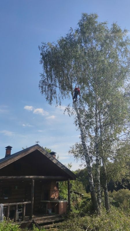 ��� �������� ��������� �� ������� �������� �� ����� �������: �������� ������ � �������� ������