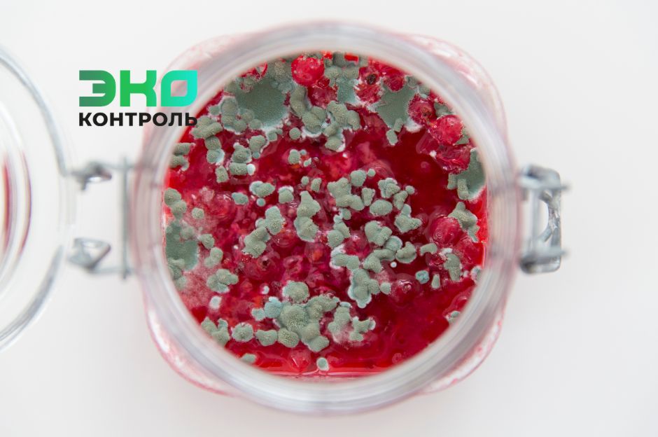 ��� ������ � ��������, �������� ��������: ���� � ����������