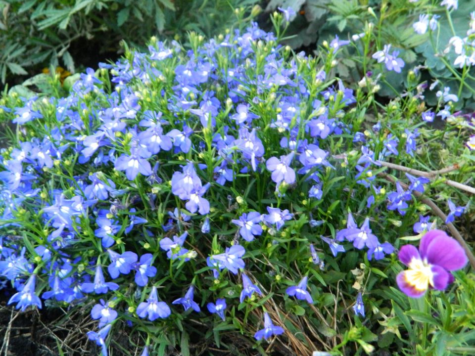 ����� ��� �����: ��� ��������� ������� ������� � ������