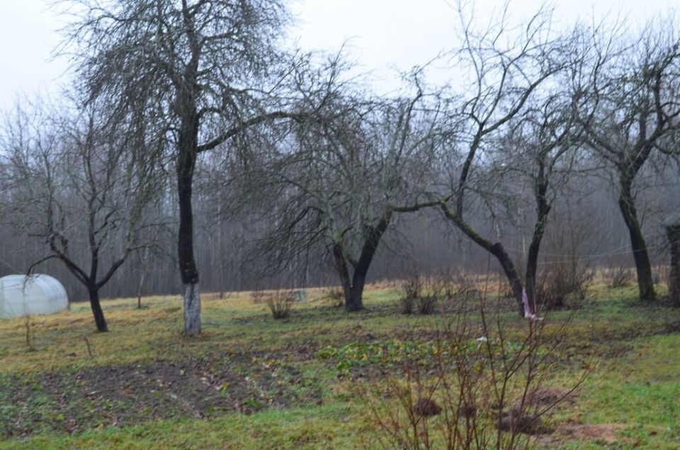 ��� ������� ������ ����� ���������� ��� ������: ������ ���������