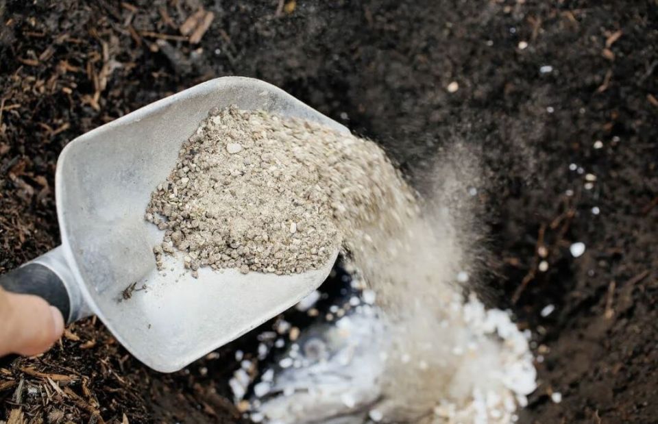 ������� ����������: ��� ������������ ���� ��� �������� ���������� ������ ����