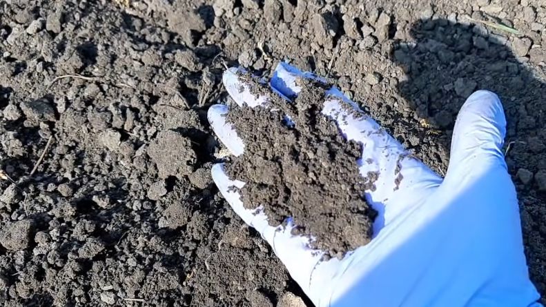 ��� �������� ����������� ������������ ����� � ������� �������