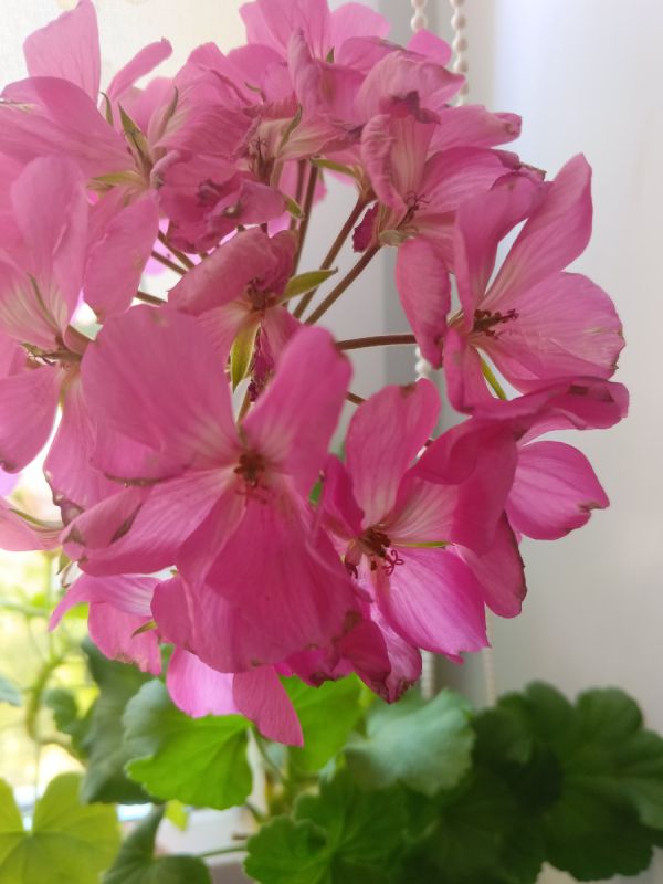 ������� ������� �������� ������: ����� ����� �������?