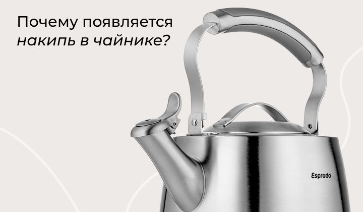 Как накипь в чайнике стала привычным жизненным спутником: причины и решения