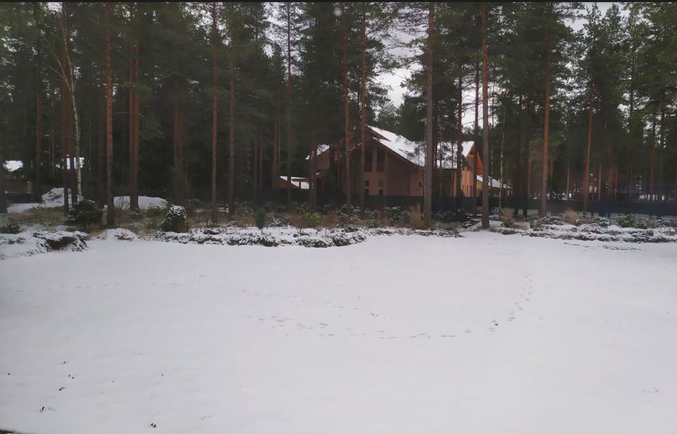 � ������ ��������: ������� � ����������, ����� ������� ������� �� �����