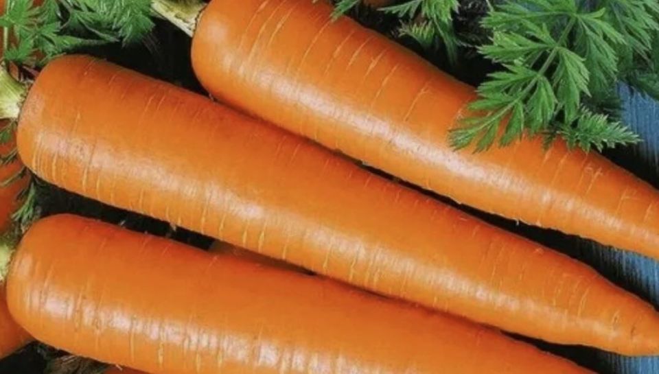 Секреты успешного выращивания моркови