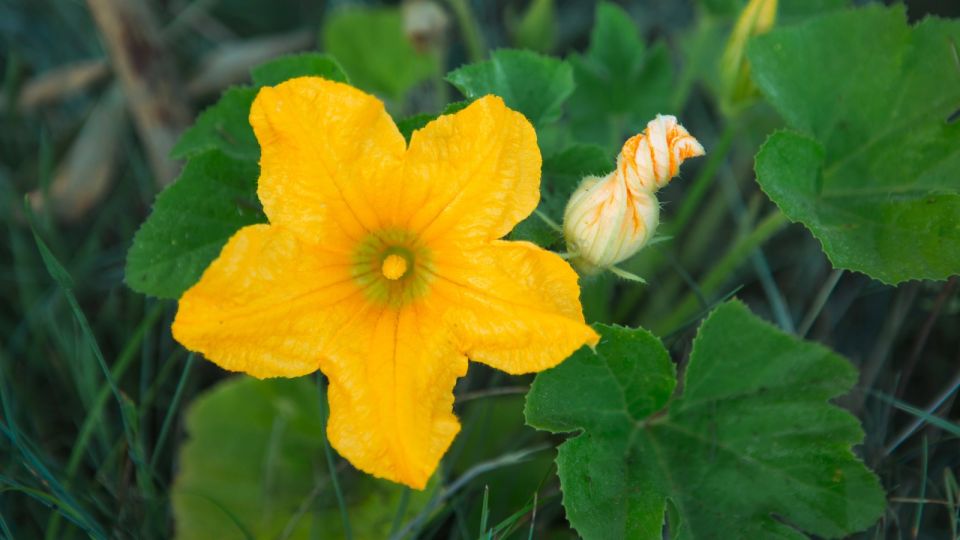 ������ �������� �������, ��� ������ �������� ��� �� �������: ����� ������ �� �����