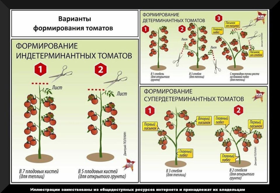 ������� �������� ��������� �������: ������ ��� ����������� � 2026 ����