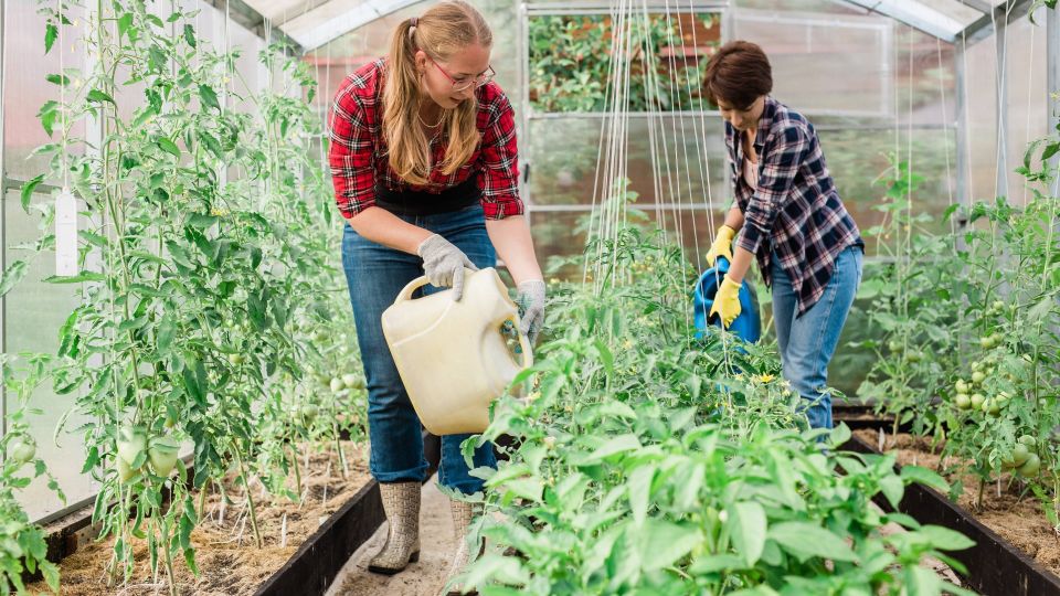 ������ ������� ������ �������� �� �� ����������: ������� �� � ������� ��� ���