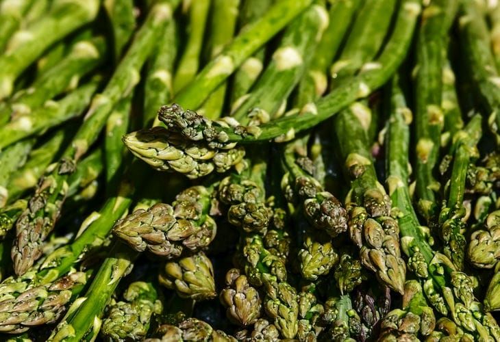 ������ ��� ���������: ����� ���� ������ ��������