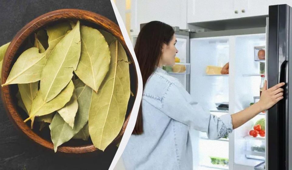 Лавровый лист в холодильнике: простой способ избавиться от неприятных запахов и насекомых