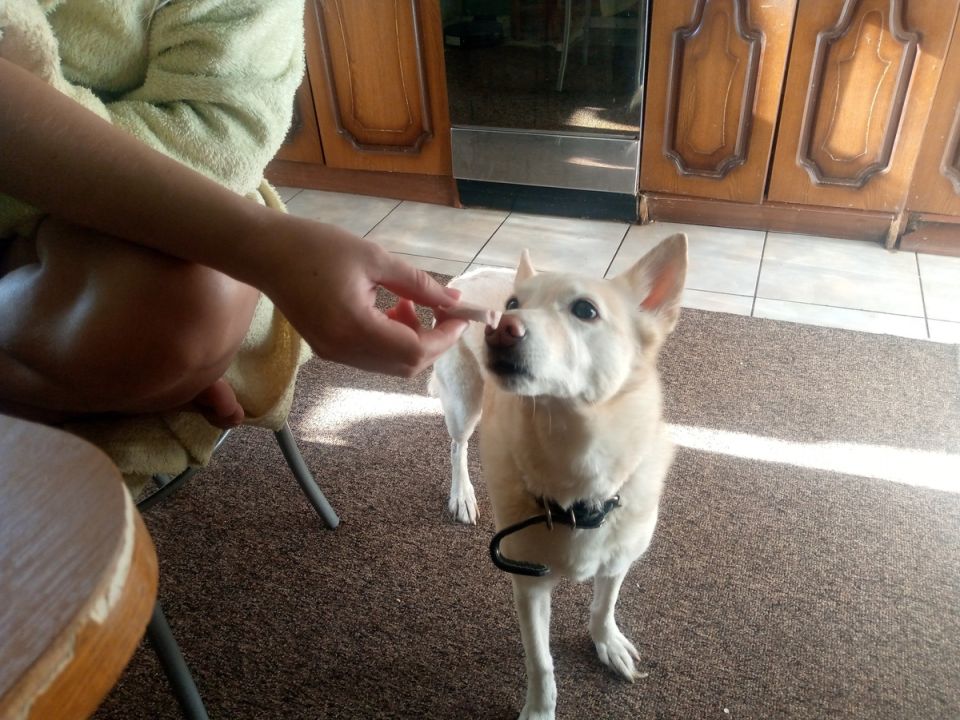 ��������� ������� �� ���������� ������: ���� ������ ����������