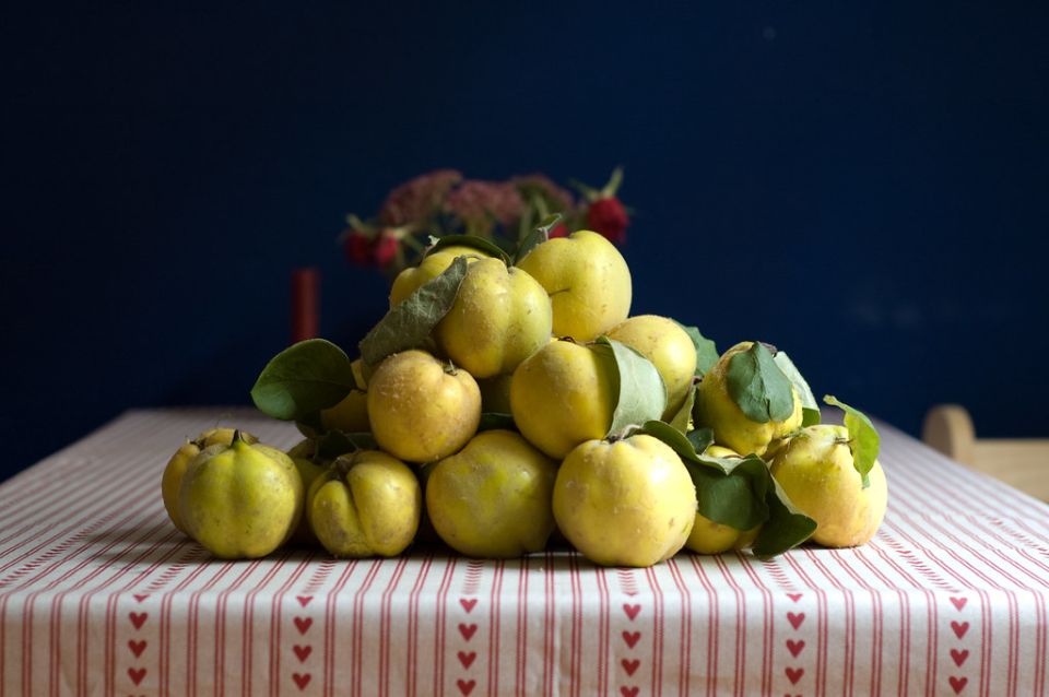 ������ � �����: ��� ������������ �������� ��������� �� ���������� ���� ����