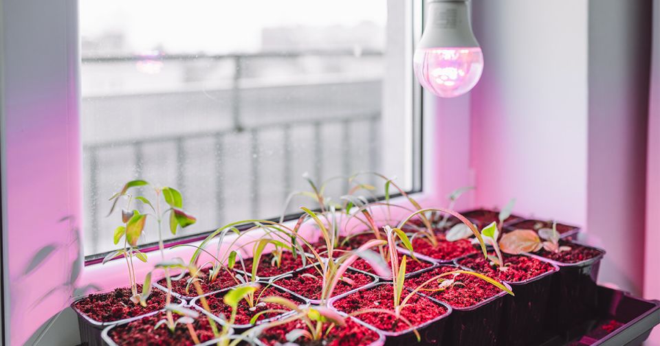 ��������� ��� �������: ������� ����� ������������� ����� ���������?