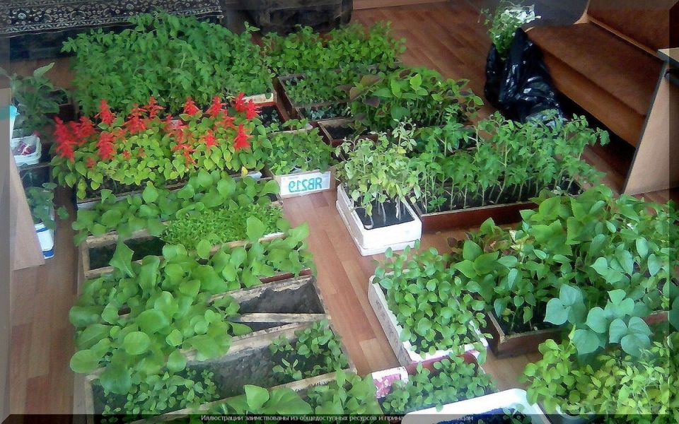 ��������-���� �� �������: �������� ������ ��� ���������� �����������. ����� 2