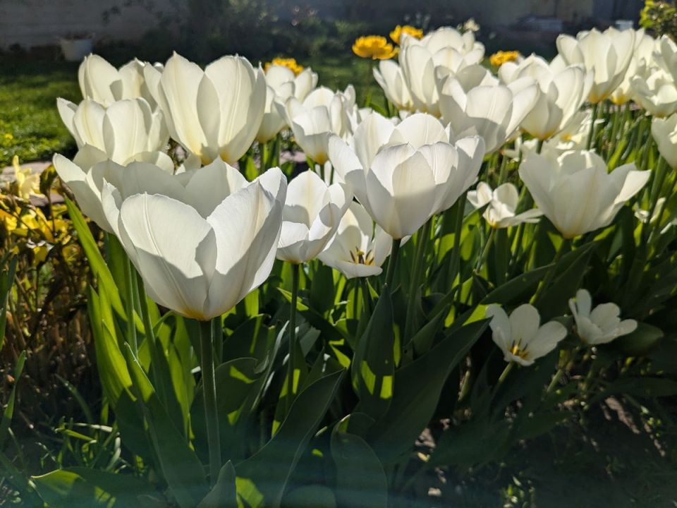 ����� ����� � ����: ��������� ����� 2026 ����