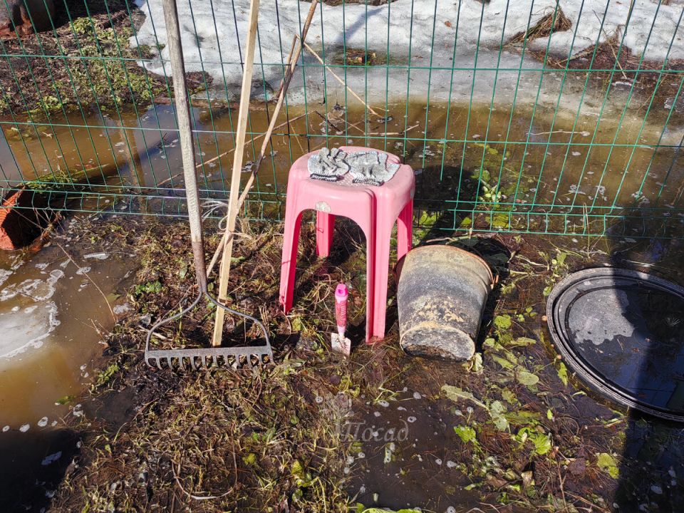 Неожиданные находки на участке: весеннее обострение