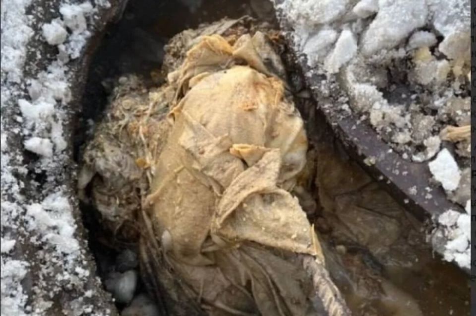 �������� � �������������� ����������: ������ � ������� ����� �������� ���������� ����