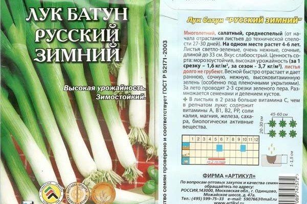 ������� ������ ���: ��������� ����������� �� ����������� ���� � �� �������