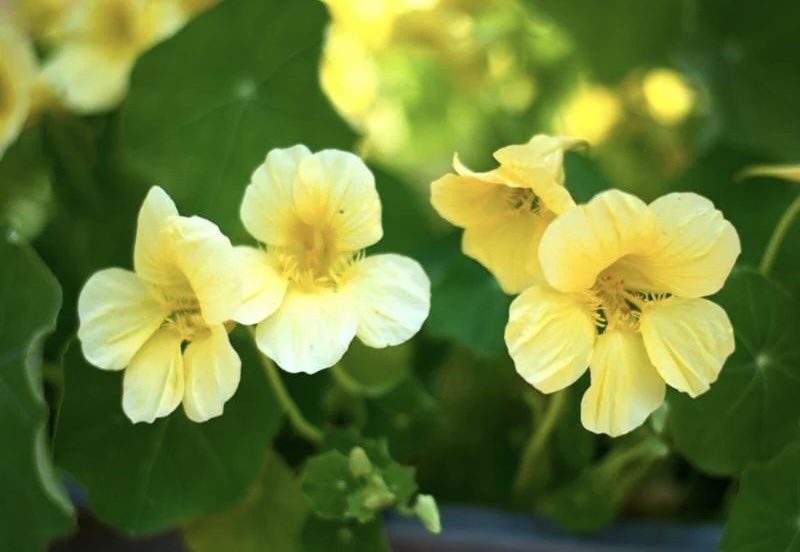 ��� ����� ����� �������� ���� � ������������ ����