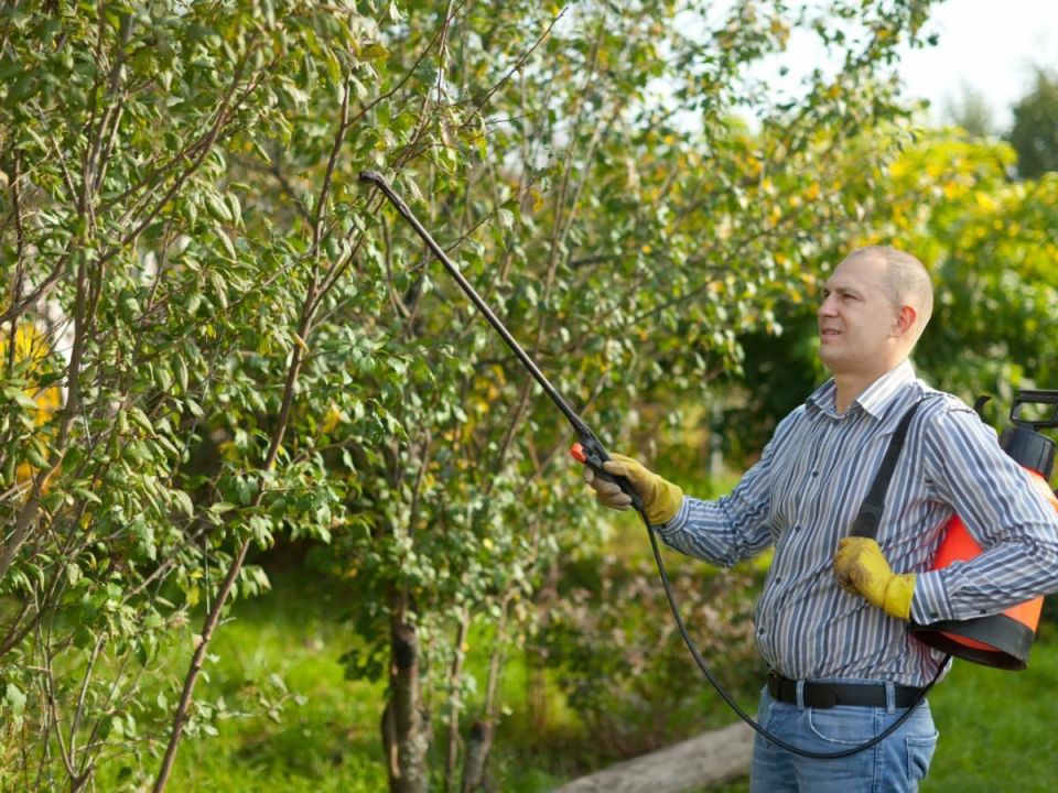 Как не стать жертвой невидимой угрозы в саду и оставить руки целыми