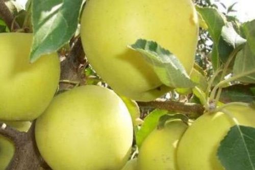 ������� �������� ����������� ��������� ����������� �������� ����� ����������� � ������ �������