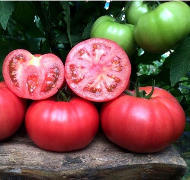 ����� ���� �������: ������� ����� ��� �������� ������ � ���� � �������