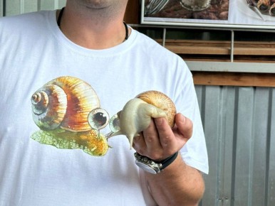     SolEcoSnails 