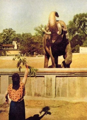    , 1952 
