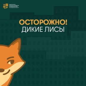   : ,       