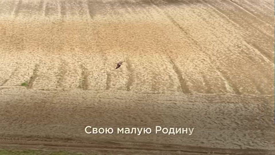  :         , , , ,  ,    