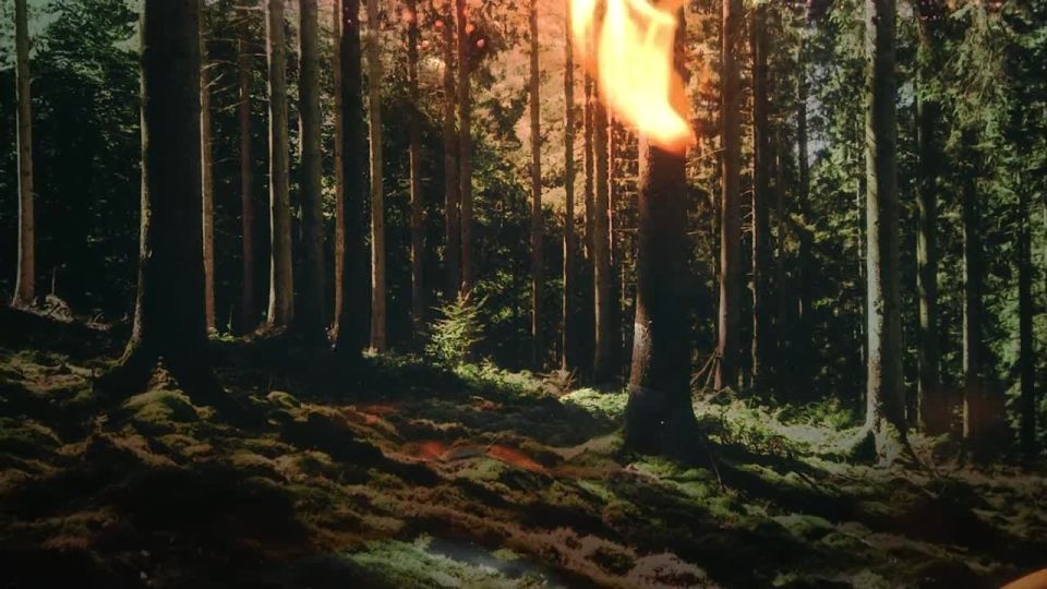      :