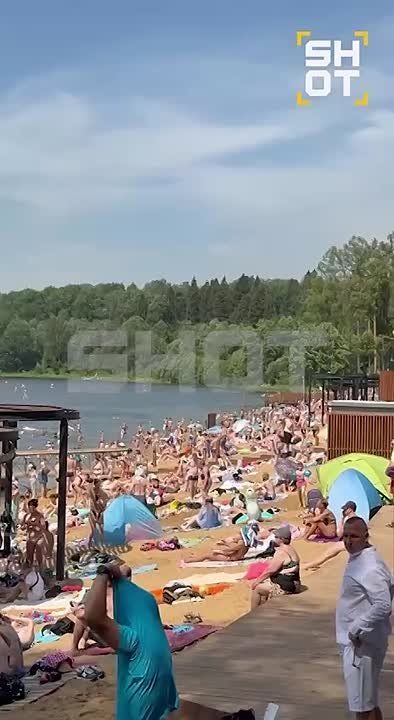     +25