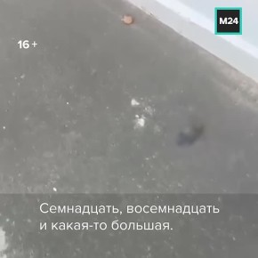    :          