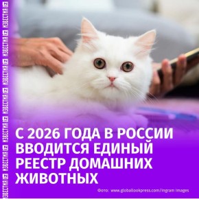     :  2026        
