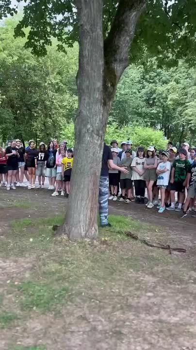          ,           