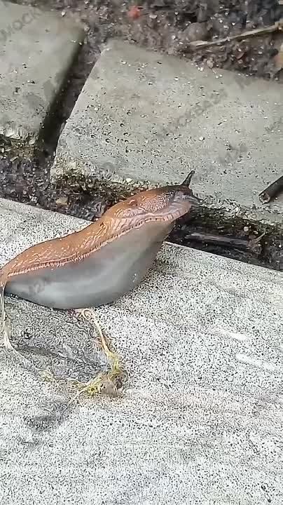   !.        