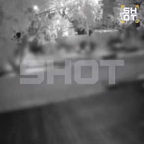            Shot
