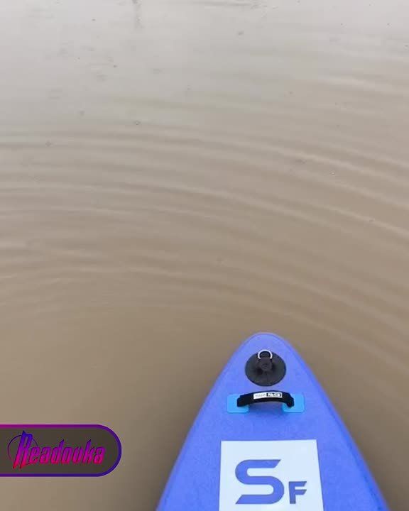   ,                            .      ...