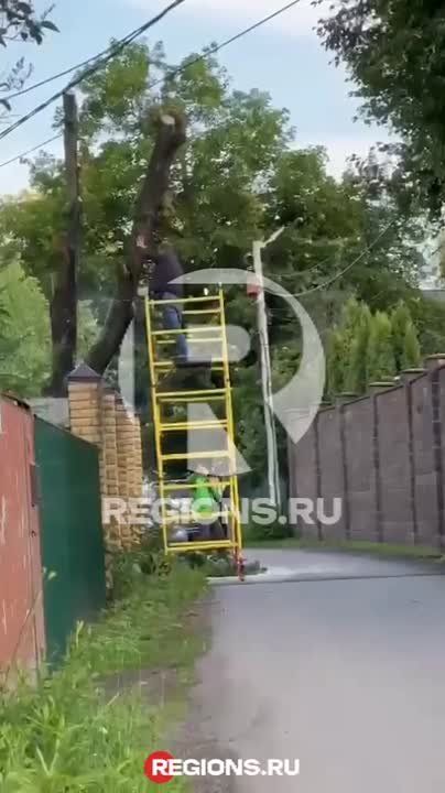   ,   