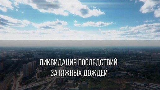  :            ,        .