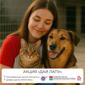   :     !